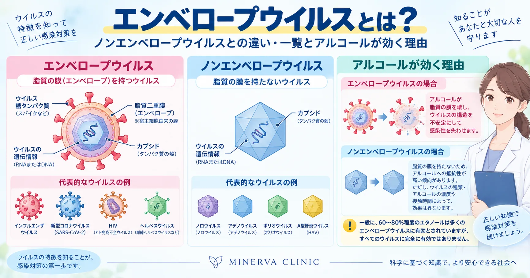 エンベロープウイルスとノンエンベロープウイルスの構造の違いと代表的なウイルスを示したインフォグラフィック
