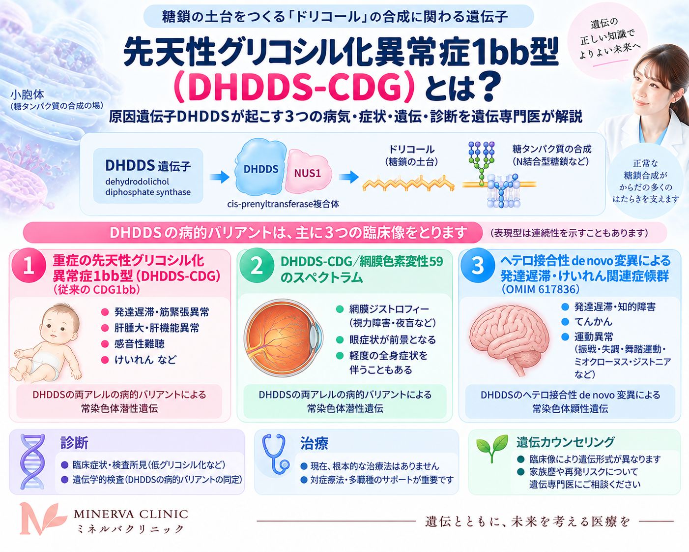 先天性グリコシル化異常症1bb型とDHDDS関連疾患 先天性グリコシル化異常症1bb型とDHDDS遺伝子関連疾患の全体像を示すインフォグラフィック