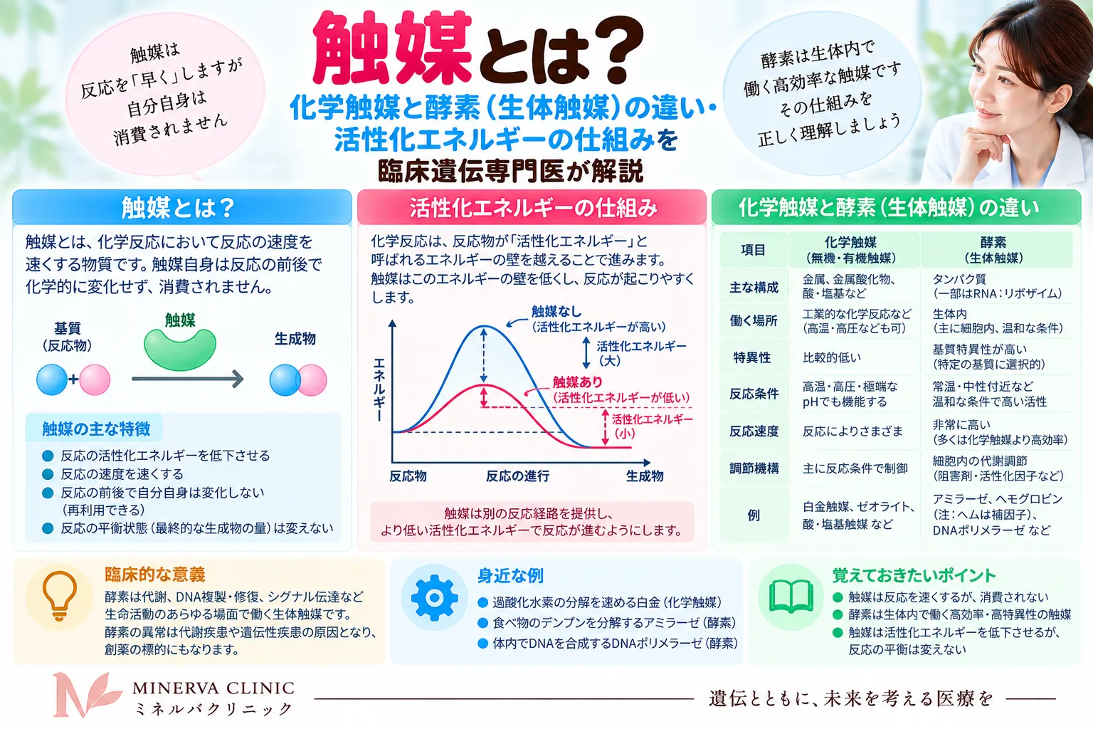 触媒と酵素(生体触媒)の仕組み 触媒が活性化エネルギーを下げて化学反応を速める仕組みと、酵素が生体触媒として働くことを示すインフォグラフィック