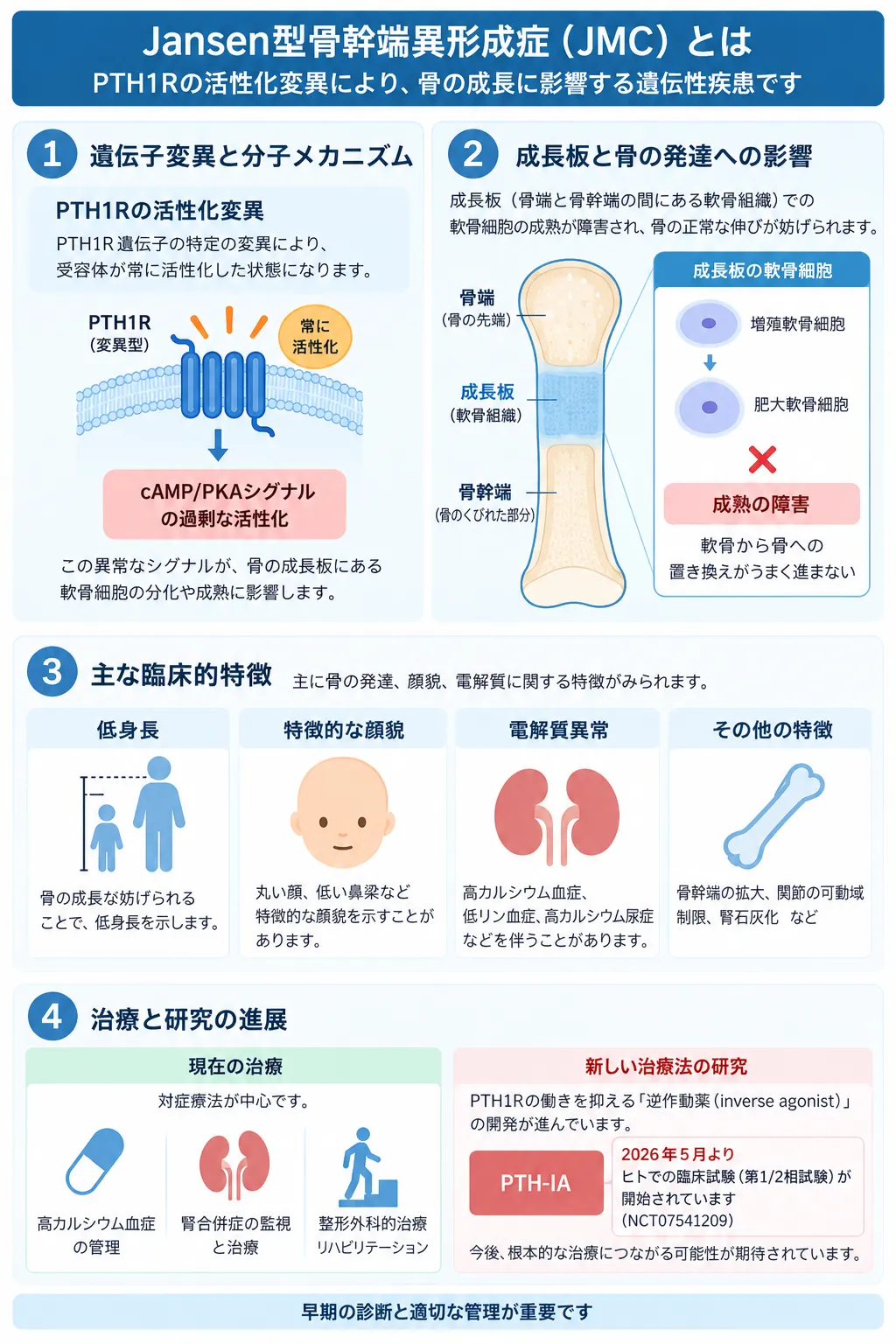 ヤンセン型骨幹端軟骨異形成症（JMC）の病態を示す模式図。PTH1Rの機能獲得型変異によるcAMP/PKAシグナルの過剰活性化、成長板軟骨細胞の成熟障害、低身長・高カルシウム血症・高カルシウム尿症・腎石灰化などの特徴と、PTH1R逆作動薬PTH-IAの臨床試験を示す。