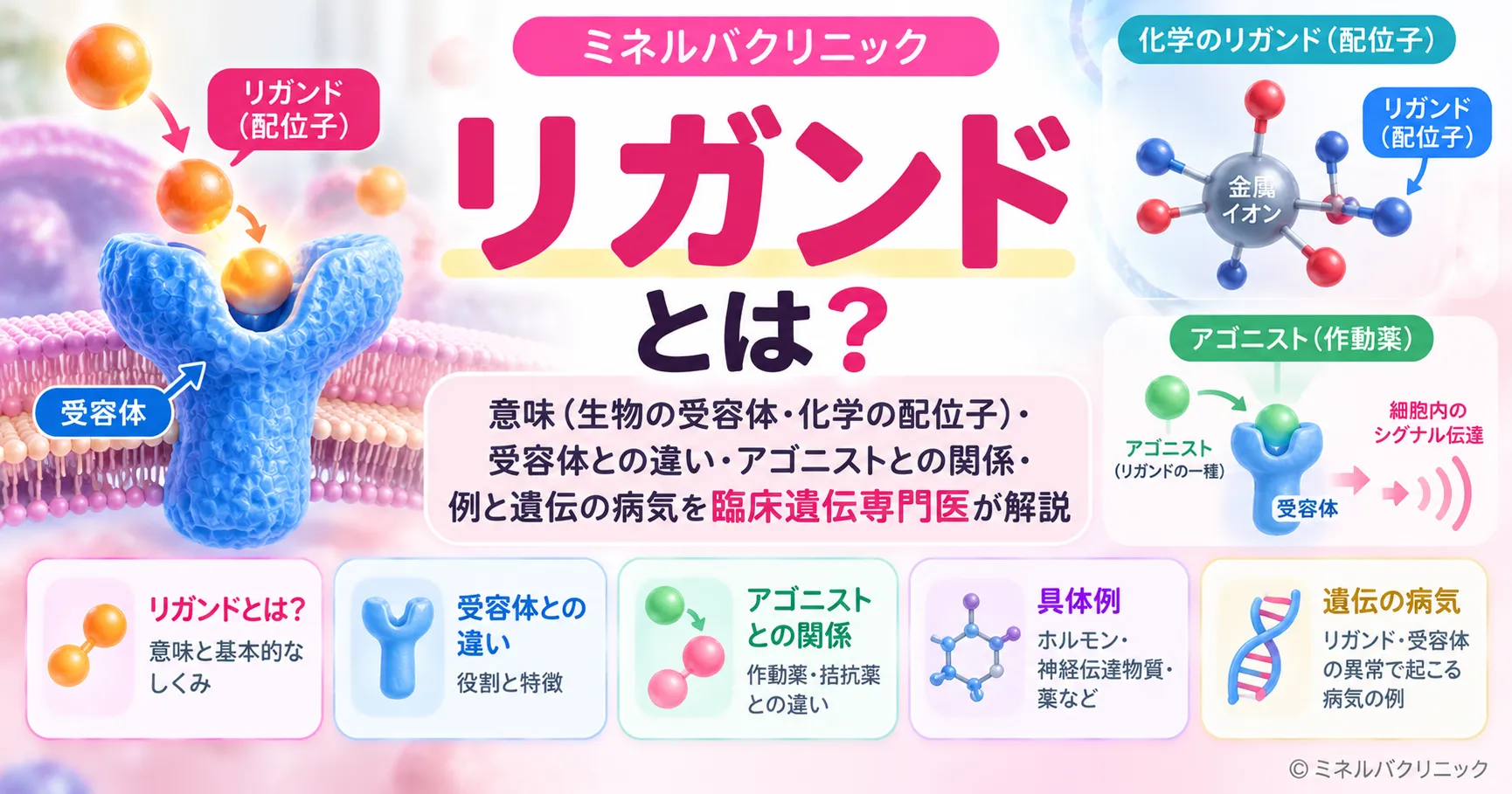 リガンドとは リガンドとは:受容体に結合して働きを変える分子
