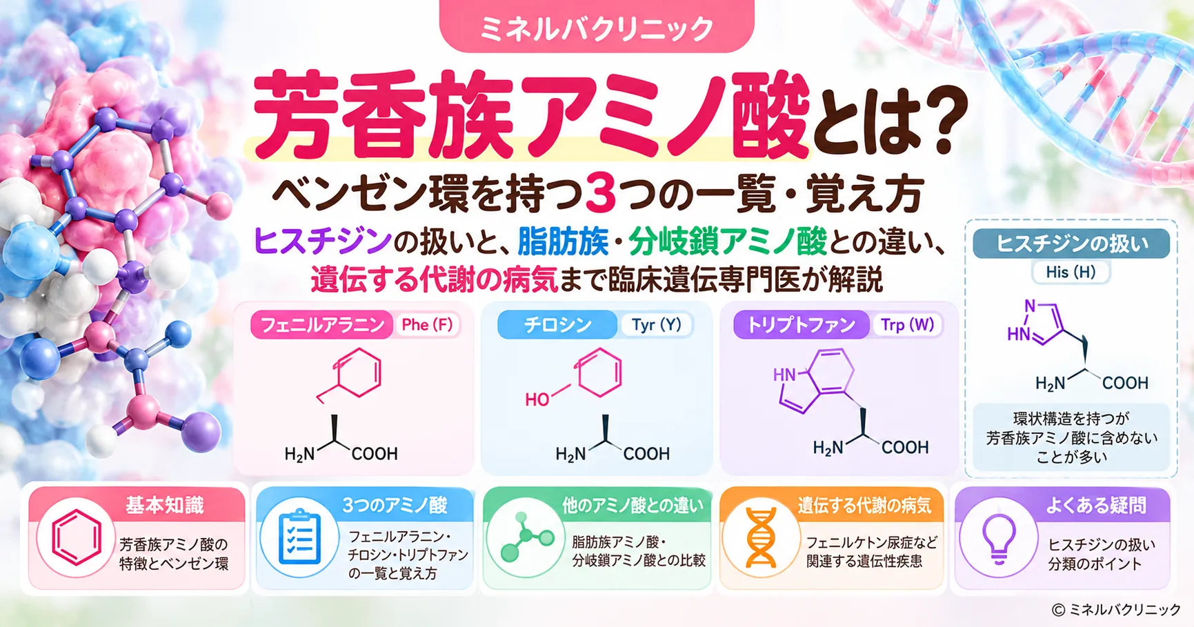 芳香族アミノ酸とは 芳香族アミノ酸3つの一覧と、脂肪族・分岐鎖アミノ酸との違い、遺伝する代謝の病気をまとめたインフォグラフィック