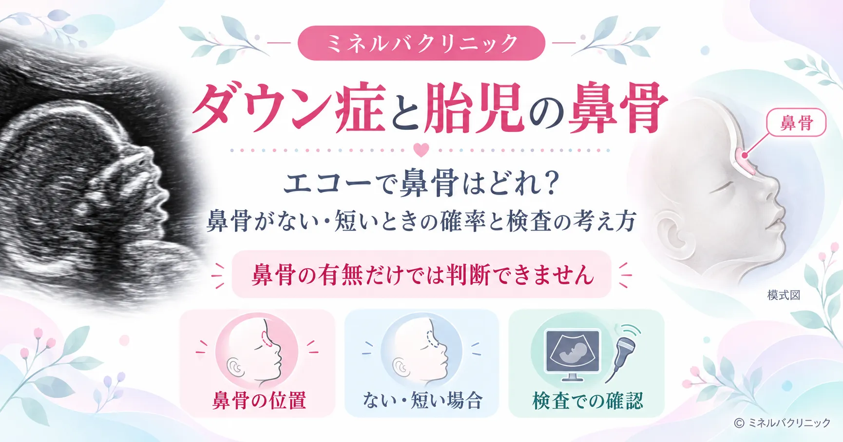 ダウン症と胎児の鼻骨｜エコーで鼻骨はどれ？鼻骨がない・短いときの確率と次の検査
