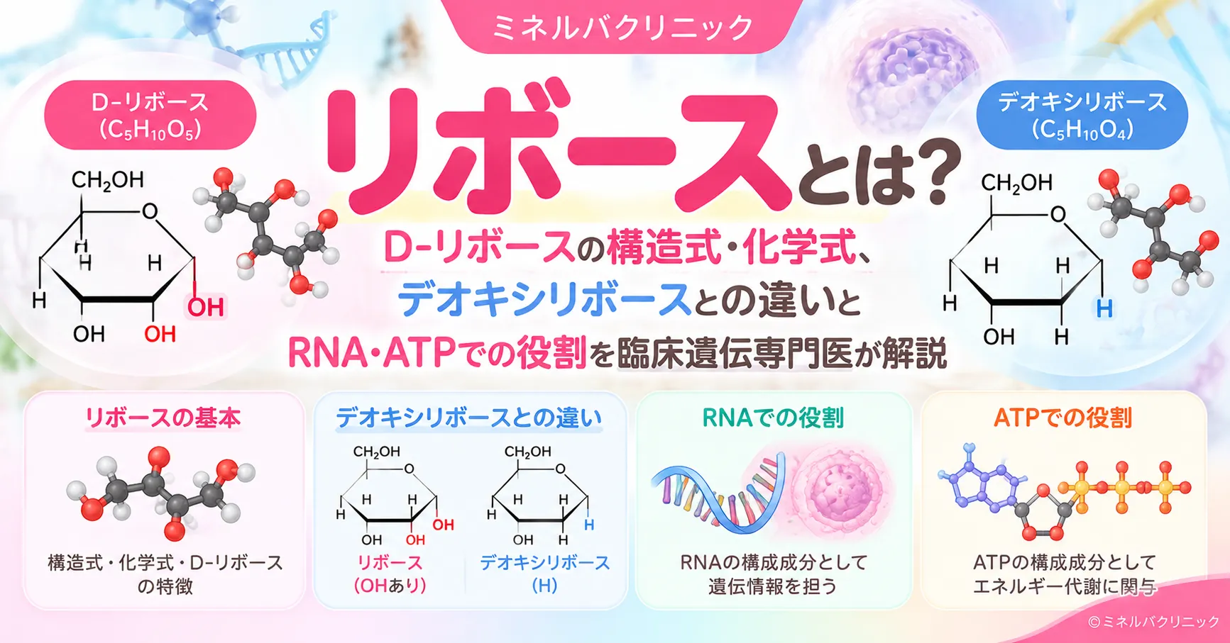 リボースの化学式とデオキシリボースとの違い、PRPS1によるPRPPの合成を示した解説画像