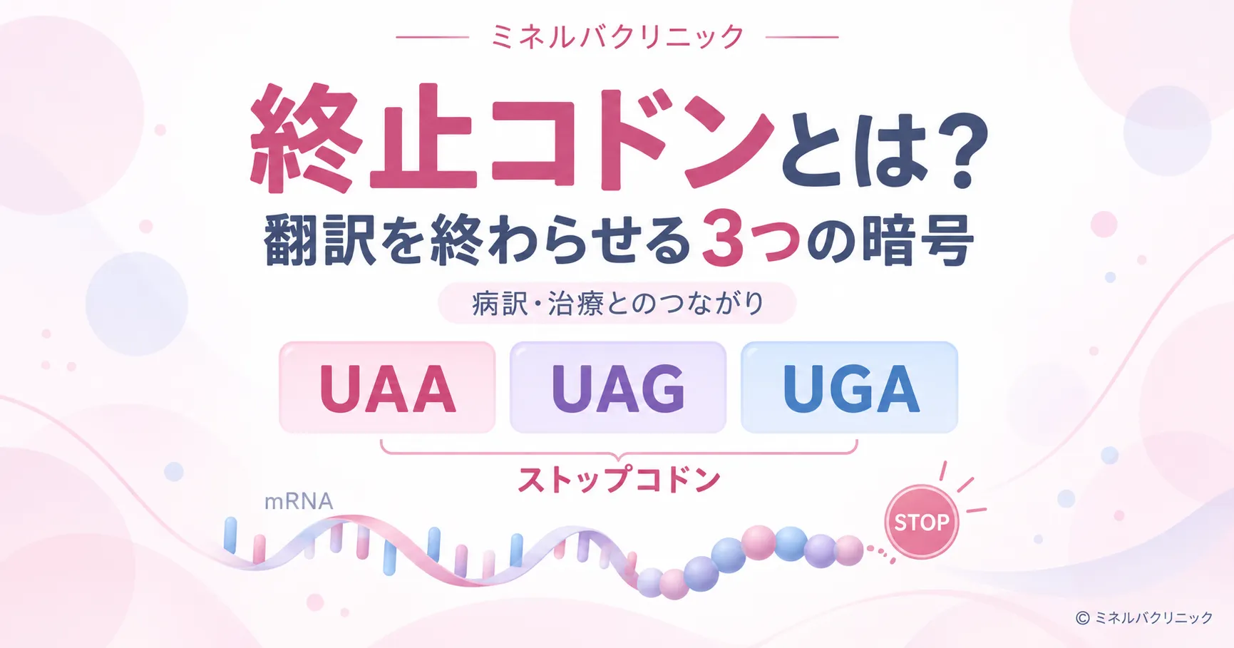 終止コドン(ストップコドン)とは?──翻訳を終わらせる3つの暗号と、病気・治療とのつながり