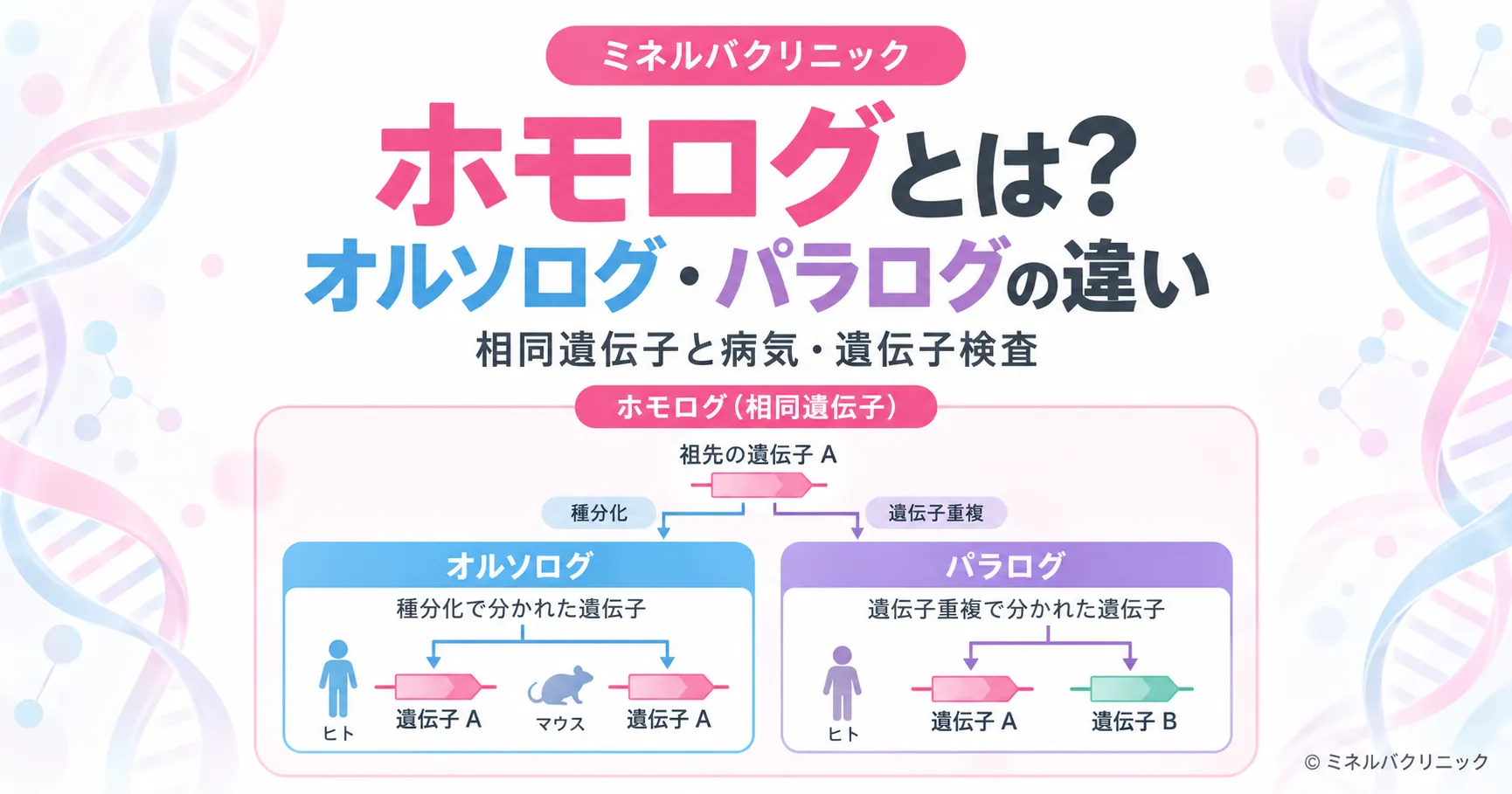 ホモログ・オルソログ・パラログの違いを解説するアイキャッチ画像