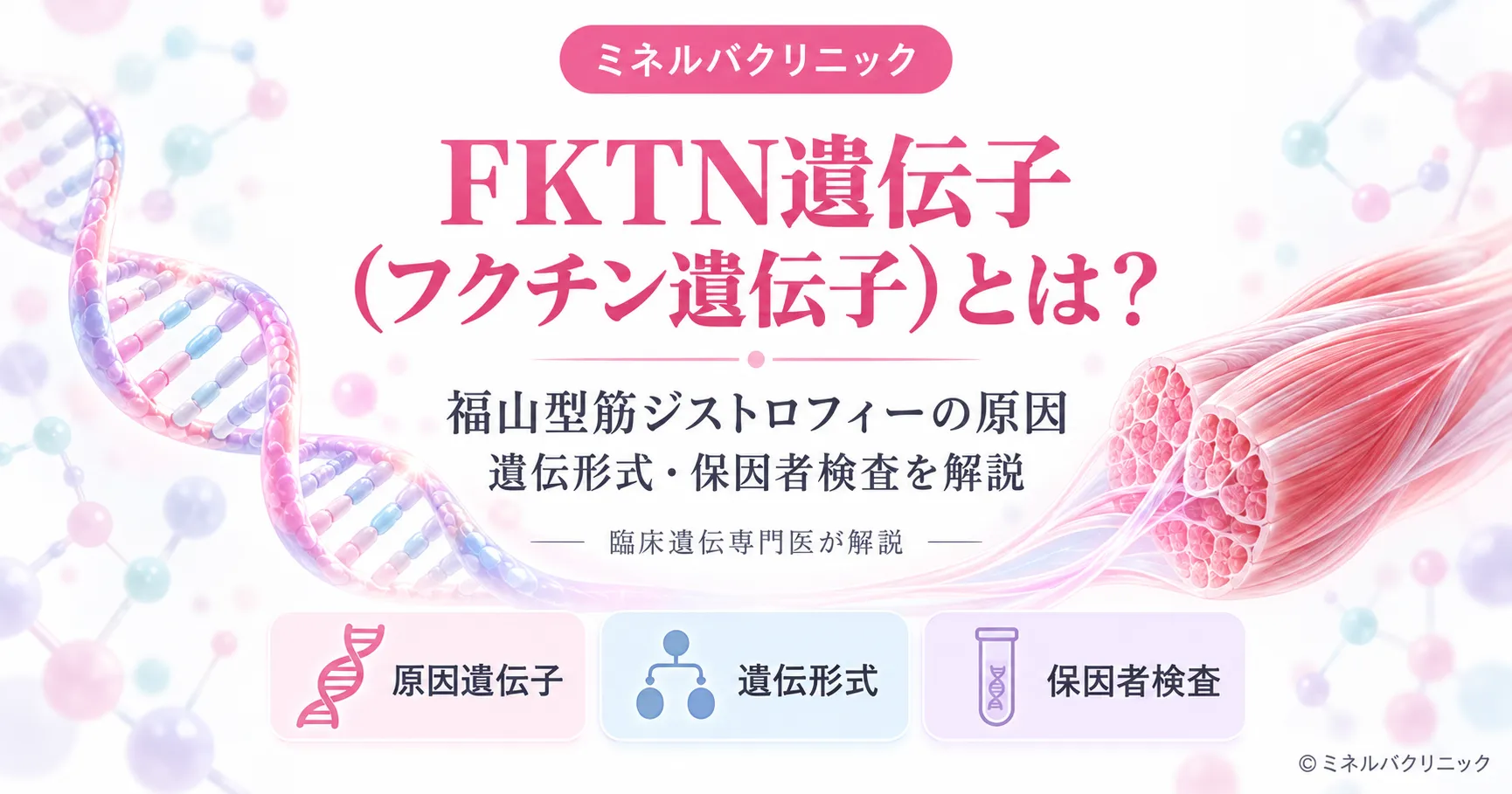 FKTN遺伝子（フクチン遺伝子）の解説アイキャッチ
