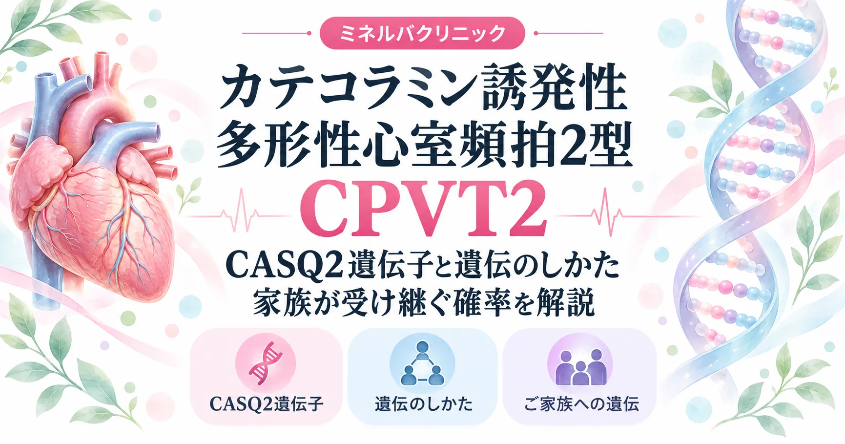 CPVT2(CASQ2型)の原因と遺伝のしかた カテコラミン誘発性多形性心室頻拍2型(CPVT2)の原因となるCASQ2遺伝子と、潜性・顕性の遺伝のしかたを解説するインフォグラフィック