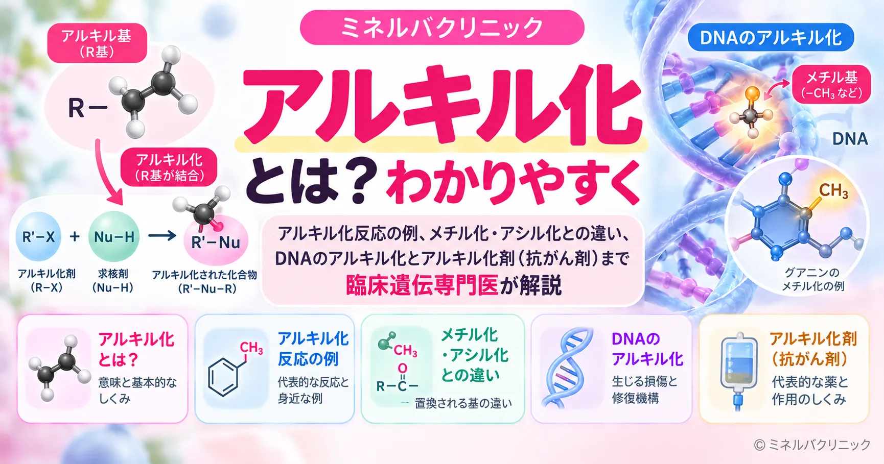 アルキル化とは アルキル化の意味と反応の例、DNAのアルキル化とアルキル化剤のしくみを解説するインフォグラフィック