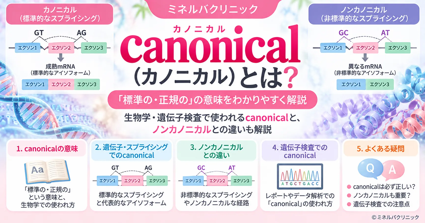 canonical(カノニカル)の意味 canonical(カノニカル)の意味を解説するアイキャッチ画像