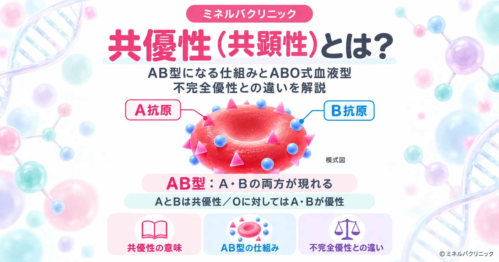 共優性(共顕性)とは 共優性(共顕性)の意味と、ABO式血液型でAB型になる例、完全優性・不完全優性との違いをまとめたインフォグラフィック