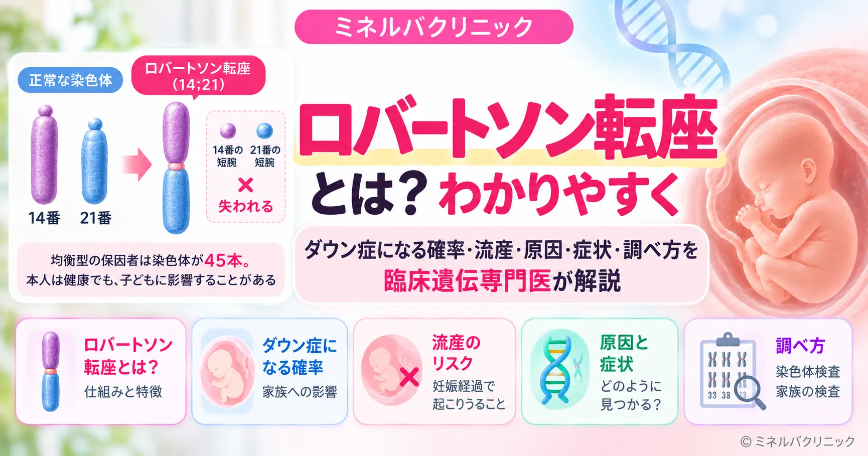 ロバートソン転座とは?ダウン症の確率・流産・調べ方 ロバートソン転座とは?ダウン症になる確率・流産・調べ方を解説するアイキャッチ画像
