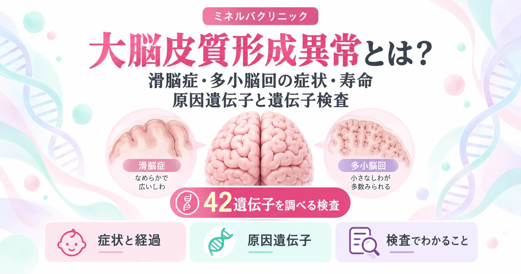 大脳皮質形成異常の遺伝子検査 大脳皮質形成異常の遺伝子検査