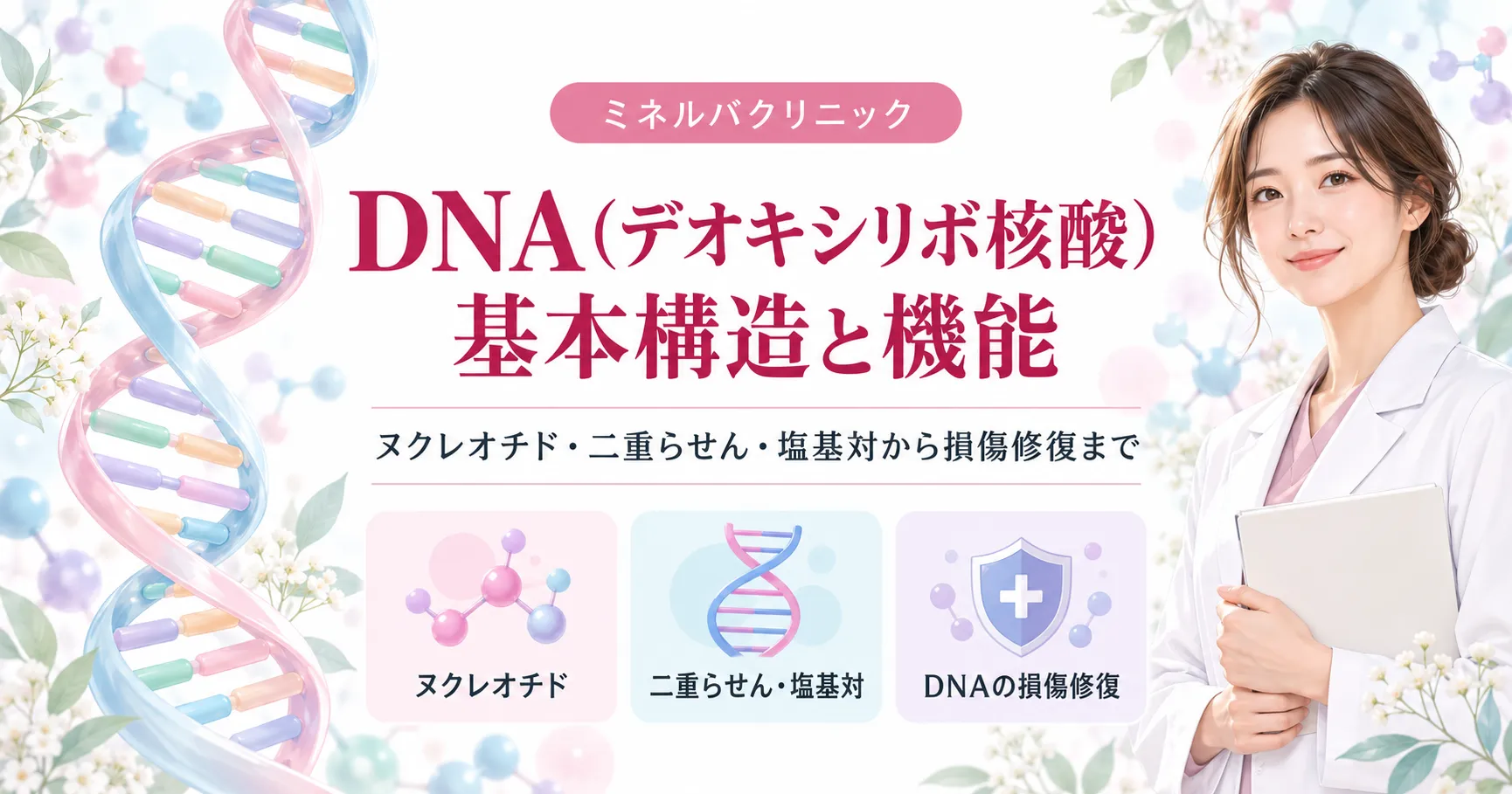 DNAの構造とは？基本単位ヌクレオチドから二重らせん・損傷修復まで