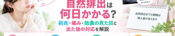 稽留流産の自然排出までにかかる期間や前兆・痛み、胎嚢の見た目と排出後の対応を解説するアイキャッチ