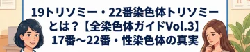 19トリソミー・22番染色体トリソミーとは？【全染色体ガイドVol.3】17番〜22番・性染色体の真実
