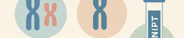 chromosome_nipt_knowledge