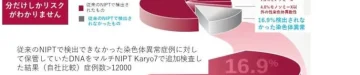 マルチNIPT