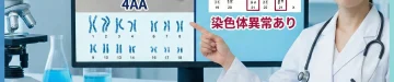 4AAでも染色体異常は起こる？胚盤胞グレードとダウン症の本当の関係｜臨床遺伝専門医が解説