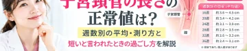子宮頸管の長さについて、妊娠週数による変化や測り方、短いと言われたときの過ごし方と受診の目安を解説するアイキャッチ