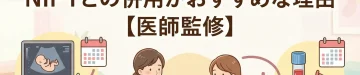 胎児ドックはいつから？NIPTとの併用がおすすめな理由【医師監修】