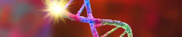 病気の原因になる遺伝子のイメージ。保因者
