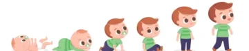 人間の赤ちゃんの発達