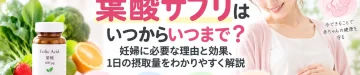 葉酸サプリはいつからいつまで必要なのか、妊婦に葉酸が必要な理由と期待できる効果、1日の摂取量を解説する記事のアイキャッチ