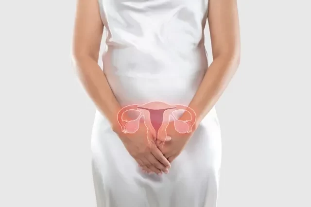 子宮のイラストが女性の体にある