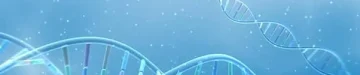 DNA