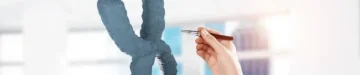 染色体