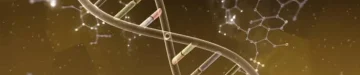 DNA