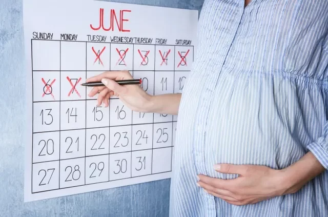 明るい壁の上で、カレンダーと出産日数を数える妊婦