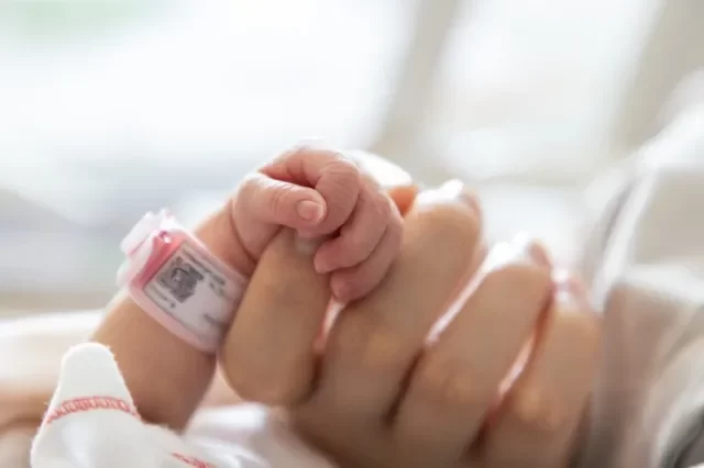 生まれたばかりの赤ちゃんの手は、お母さんの人差し指を握ります。 コンセプト: 入院中の未熟児または早産児。 母親と赤ちゃんの関係。