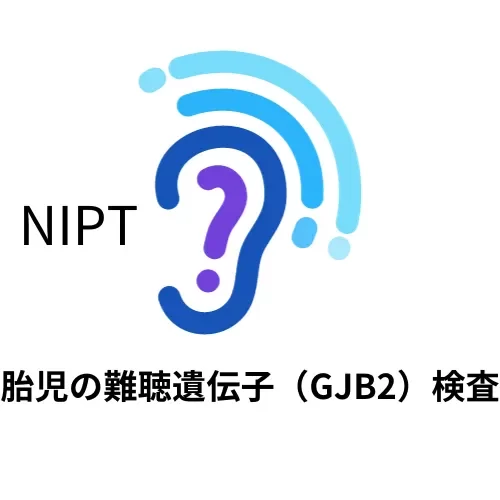 NIPTで胎児の難聴遺伝子（GJB2）検査が可能です
