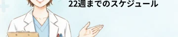 妊娠16週のNIPTは手遅れ？遅いと悩む前に知るべき22週までのスケジュール